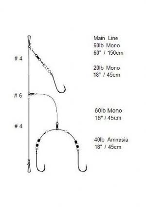 Shore Rod Rig Shore Rigs | Gerry’s Fishing