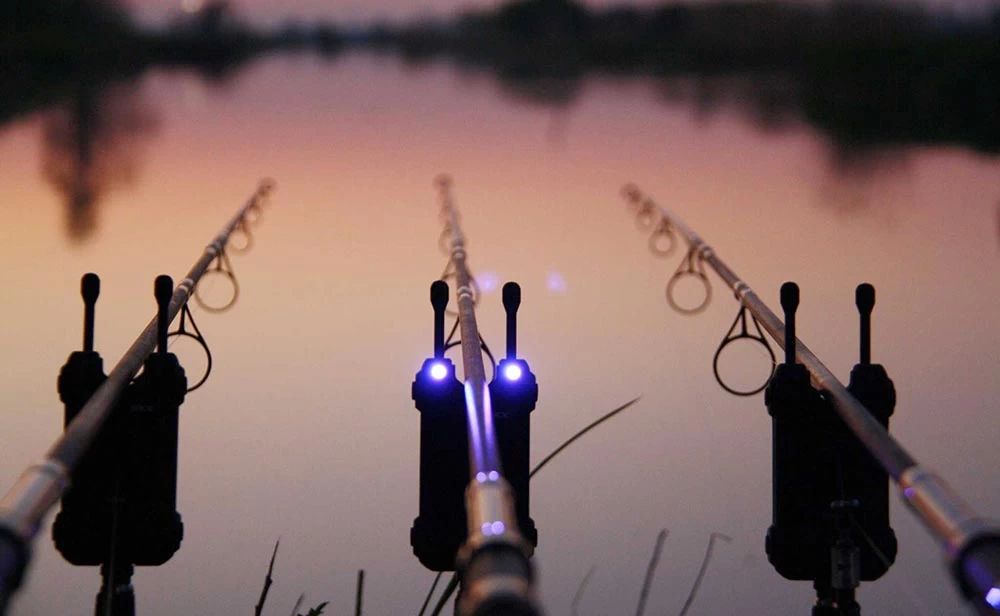 Carp-fishing-homehero
