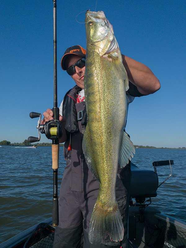 Fox Rage Terminator Versatile Light Casting 210cm 6' 11" 7-28g - Image 11