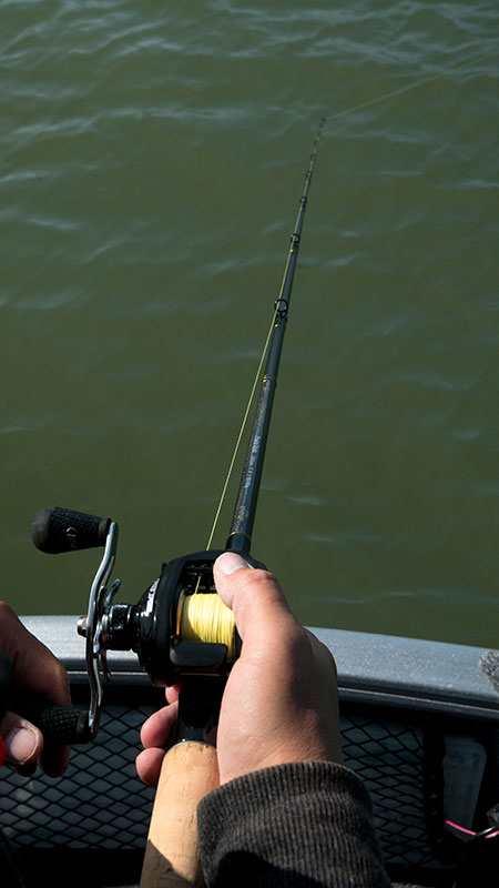 Fox Rage Terminator Versatile Light Casting 210cm 6' 11" 7-28g - Image 13