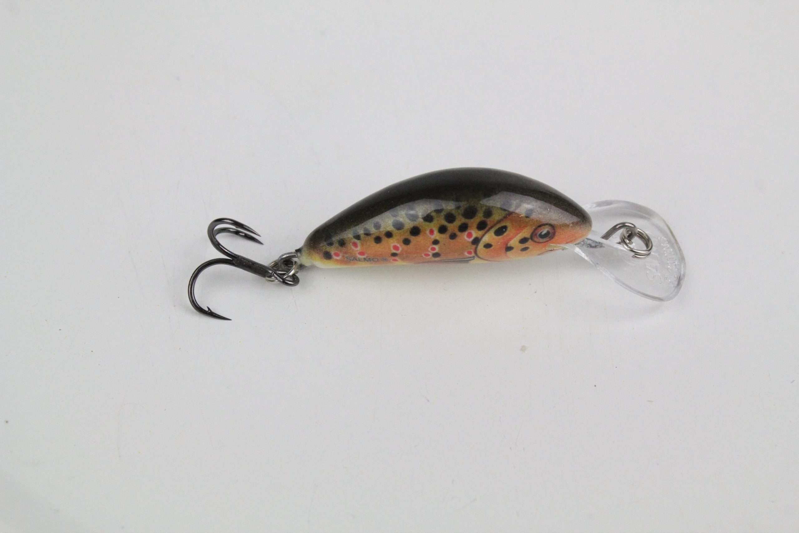 Salmo Fresh Water Floating Hornet 3 Trout 3.5cm 2.2g