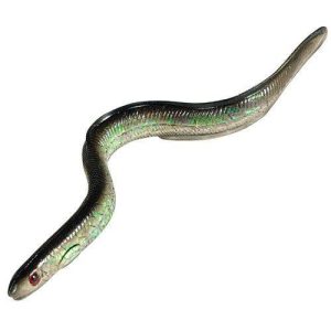 Sidewinder Shimmer eels 6 Inch