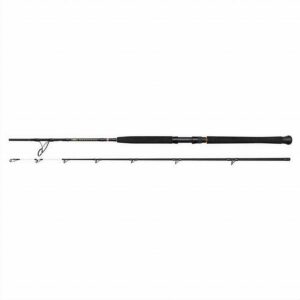 PENN Wrath II Boat Rods