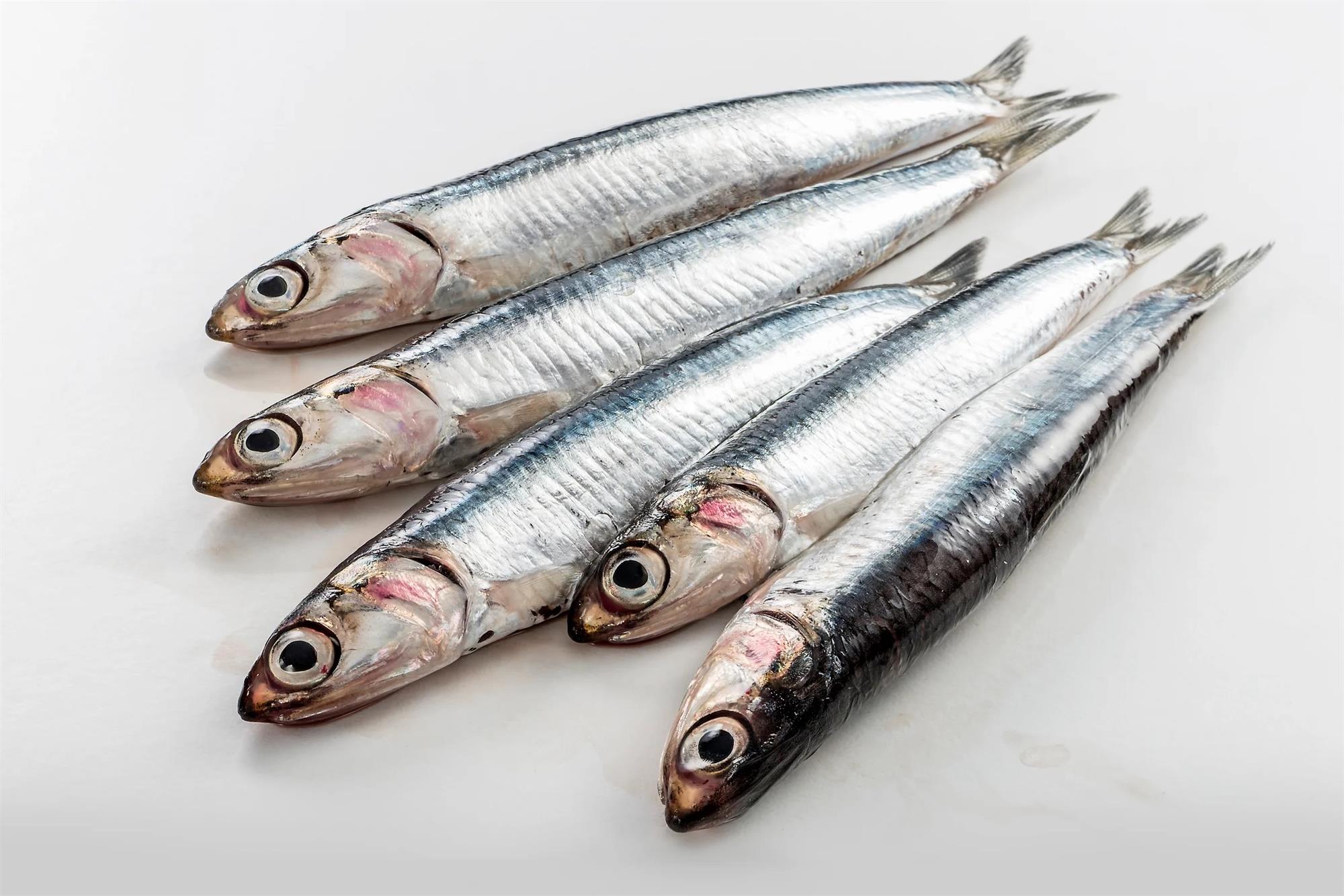 Anchovies 5 Per pk
