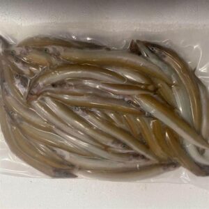 IQF Frozen Sand Eel