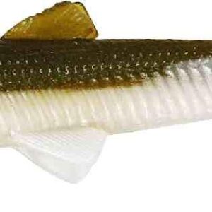 Westin Bullteez Shadtail - 9.5cm 7g