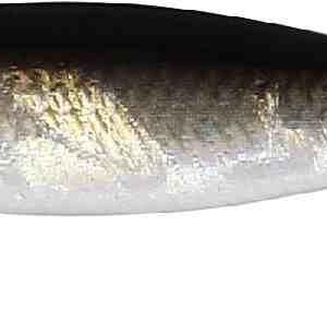 Westin Salty Jig - 42g 9cm