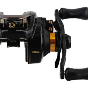 Westin W6-BC 300 HSG RH Stealth Gold 10+1BB