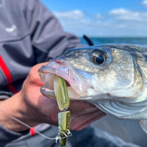 Bass Lure Starter Kit
