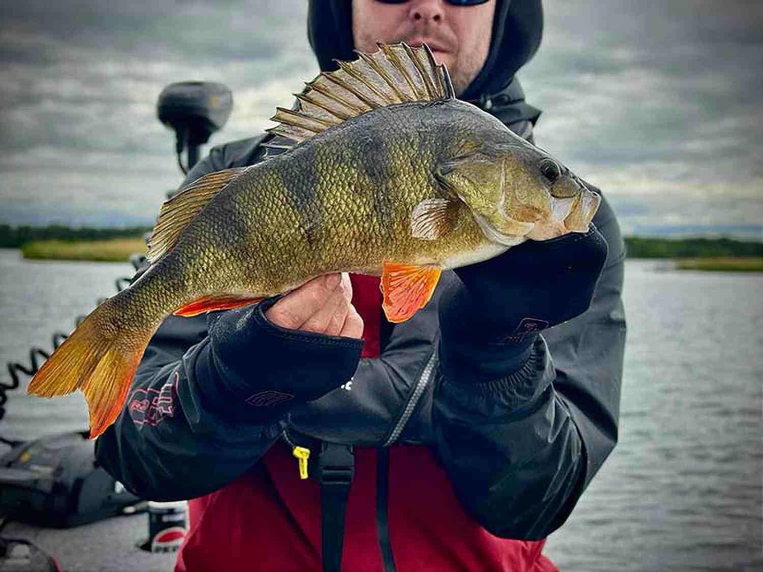 Fox Rage Neoprene Mitts - Image 10