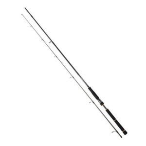 Daiwa BG Seabass 902HFS