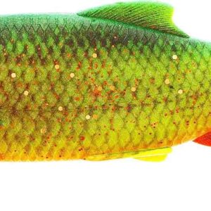 Westin Ricky The Roach Shadtail - 7cm 6g