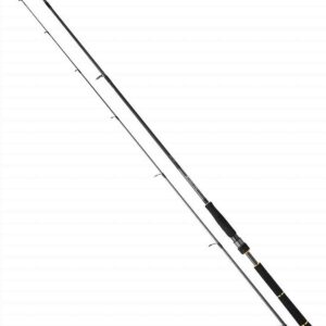 Daiwa BG Seabass 8'2" 10-35g 822 HM HFS 2sec