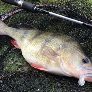 Complete Fresh Water Lure Setup