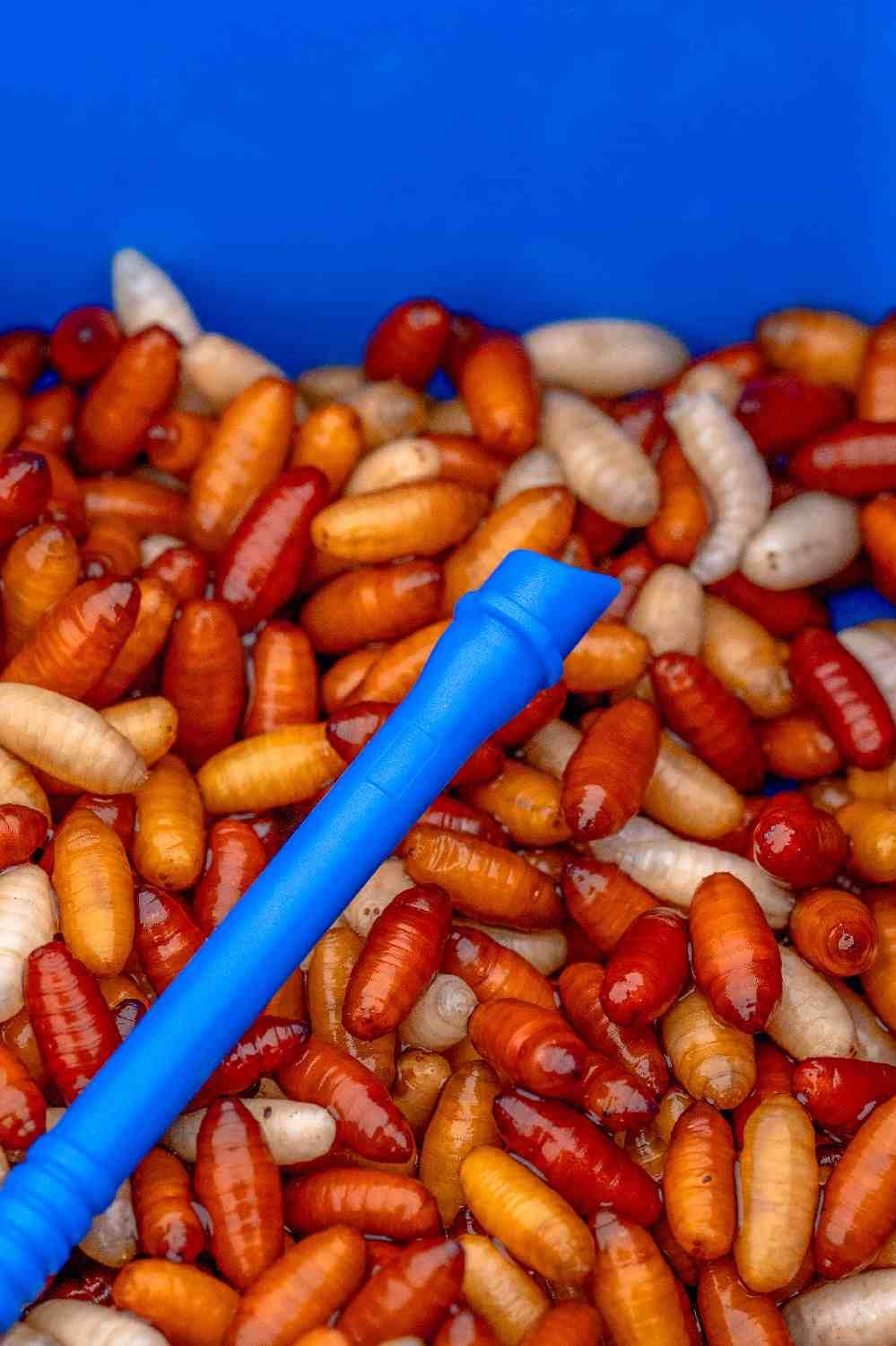 Preston Innovations Bander Disgorger Twin Pack - Image 7