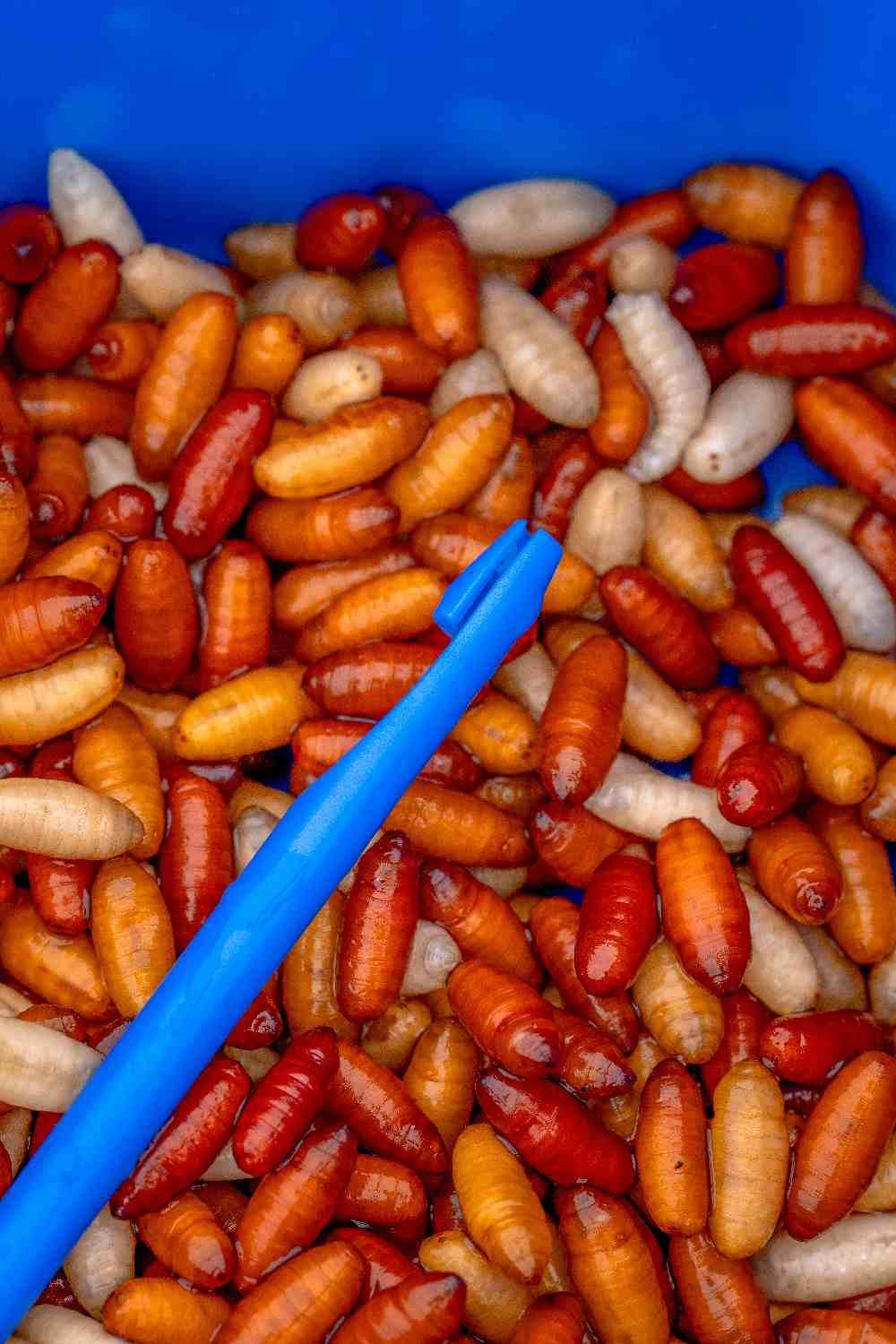 Preston Innovations Bander Disgorger Twin Pack - Image 8