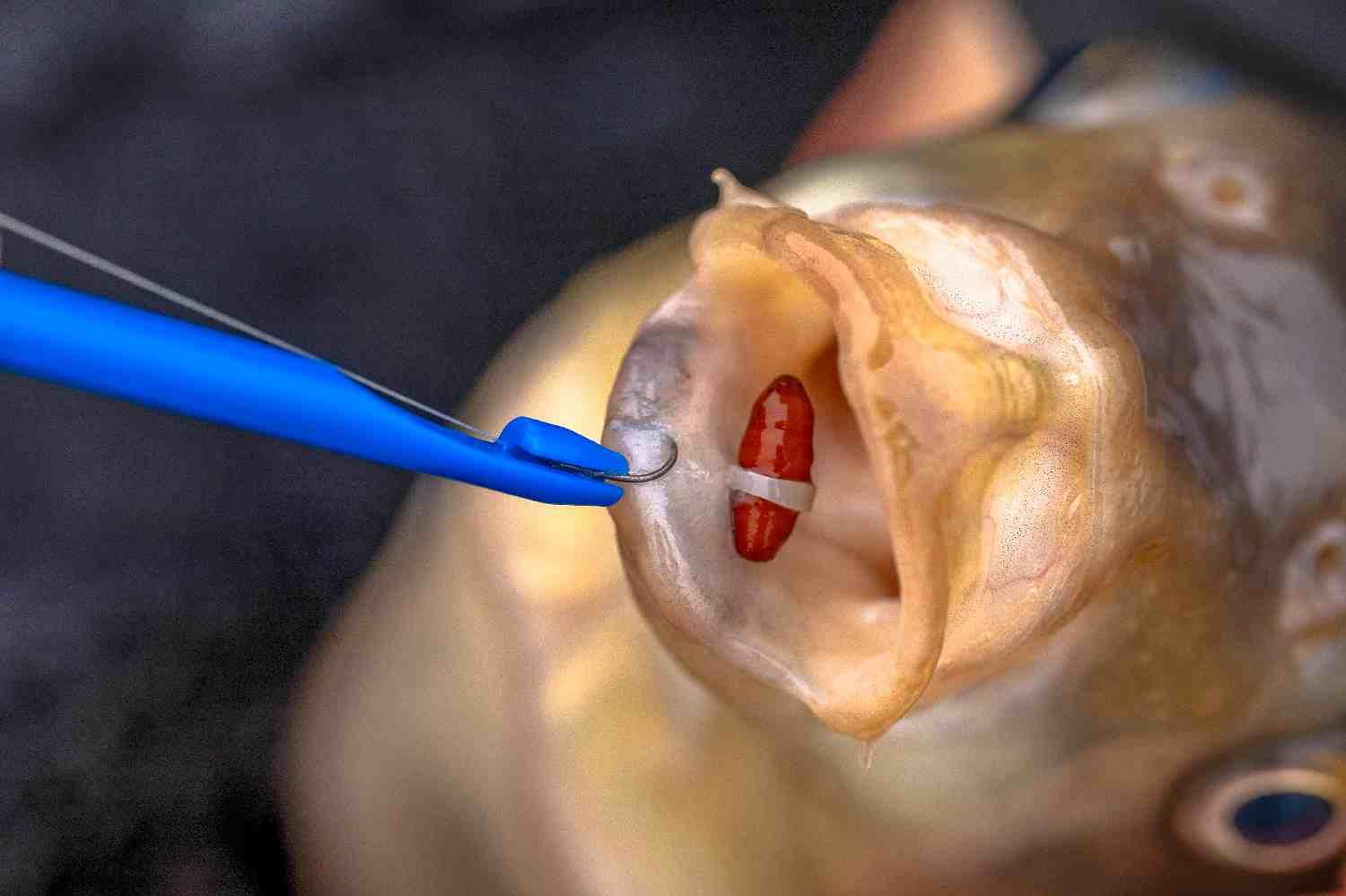 Preston Innovations Bander Disgorger Twin Pack - Image 9