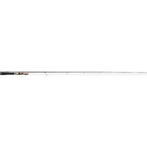 Tenryu Injection Fast Finess L 7' 5" 2-10g 2sec