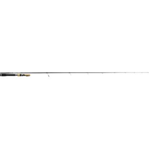 Tenryu Injection Fast Finess Mh 7' 5" 8-35g 2sec