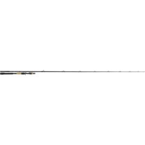 Tenryu Bc 73 H Pike Special 7' 3" 20-80g 2sec