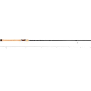 Tenryu Rz 842 S-Mmh (Rayz) 8' 4" 0-25g 2sec