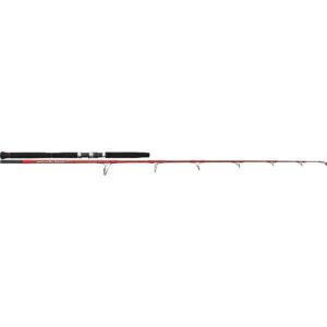 Tenryu Red Monster Special ( A841 ) 7' 3" 80-200g 2sec