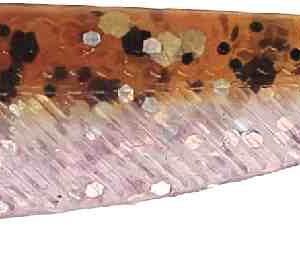 Westin Shadteez Slim - 4.7cm 1g Floating