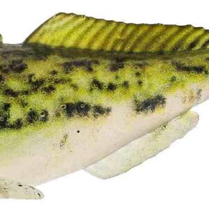 Westin Gunnar The Goby - 10cm 12.8g - Headlight Goby - 2pcs