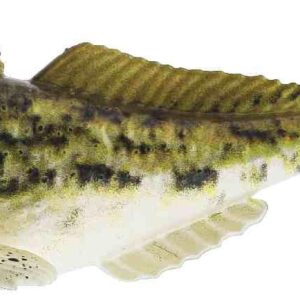 Westin Gunnar The Goby - 10cm 12.8g - Spotted Goby - 2pcs