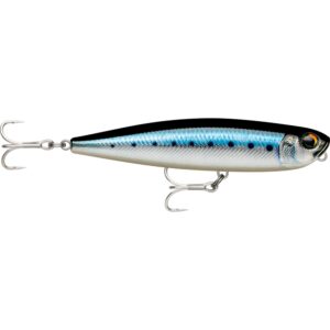 Rapala Precision Xtreme Pencil Sw1 10.7cm 21g - Live blue Sardine (BSRDL)