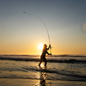 Guiding & Tutorial Trips