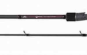 Fox Rage Warrior Pike Cast Ext 60-140g 230cm 1+1