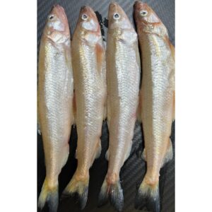 Luce Baits Smelt (Natural) 4 fish Per Pk