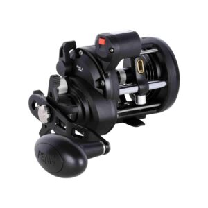 PENN Rival II 20 Level Wind Line Counter
