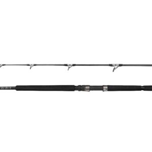 PENN Ally II Offshore Casting Rod 8' Max100g/50-60lb 2pc