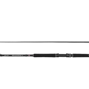 Penn Squadron IV Inner Boat 7' 30-50lb 2pc