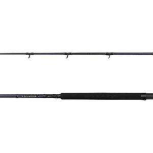 Savage Gear Defiance SG2 Shore Jigging 2.90m 50-120g 2pcs