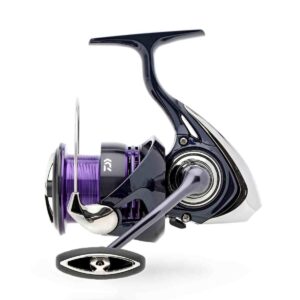 Daiwa 24 Prorex X LT3000-CXH