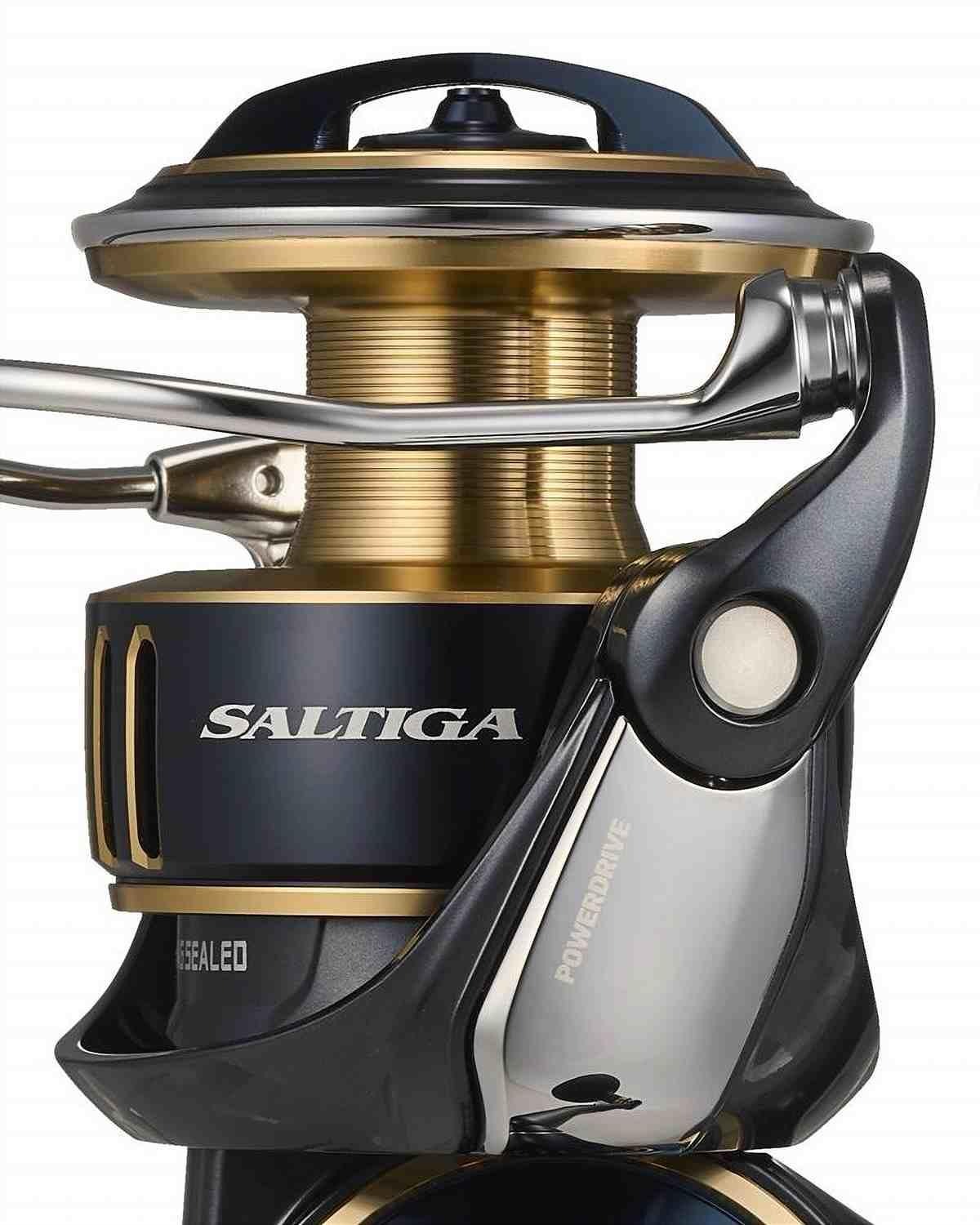 Daiwa 25 Saltiga 8000-H (G)