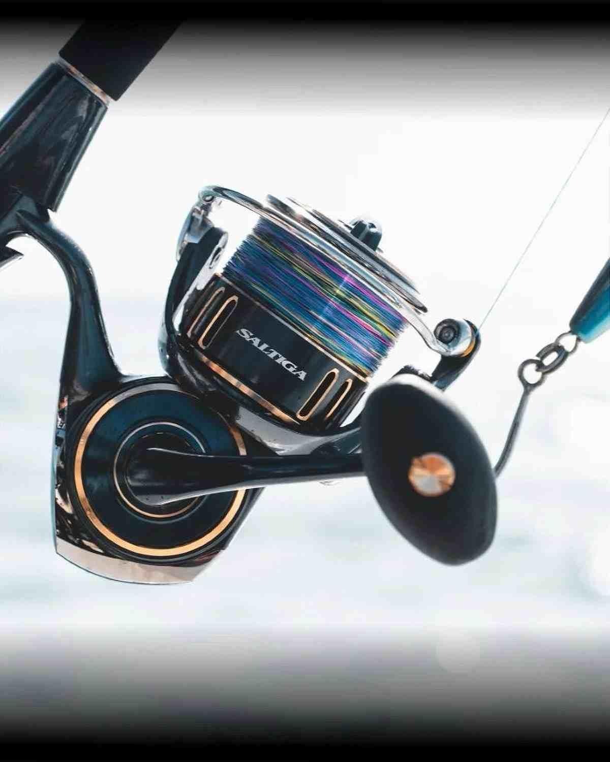 Daiwa 25 Saltiga 8000-H (G)
