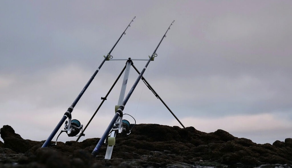 when to start sea fishing