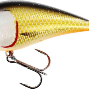 Westin Bassbite 1.5 Squarebill - 6cm 13g - Floating