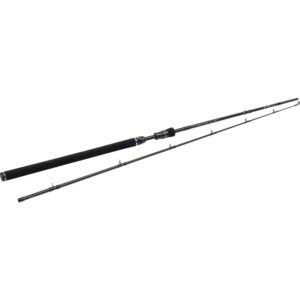 Westin W3 Jerkbait-T 6'6"H 20-80g 2sec