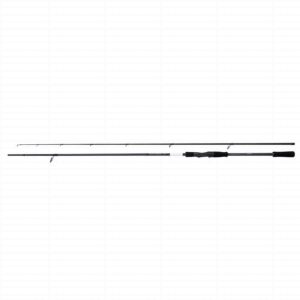 Shimano Bassterra XT+ Seabass Spin 9'6" 15-65g 2pc