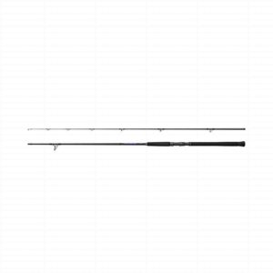 Shimano Currentsniper BB Shore Jigging 10'0" 65g JIG80g 2pc