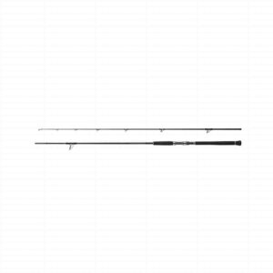 Shimano Currentsniper XR Shore Jigging 9'6" 56g JIG70g 2pc