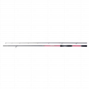 Shimano Sienna Spinning EVA 2.41m 10-35g 2pc