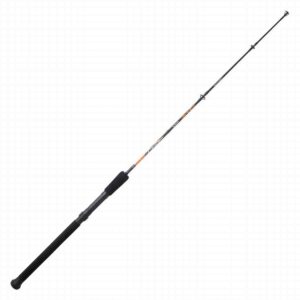 Sunset Aiden SW 4' 60-120g 5sec