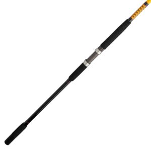 Ugly Stik Bigwater Boat Rod 10' 40-80lb 2pc