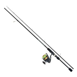 Daiwa D-SPIN 6'6" 5-20G 2500 COMBO